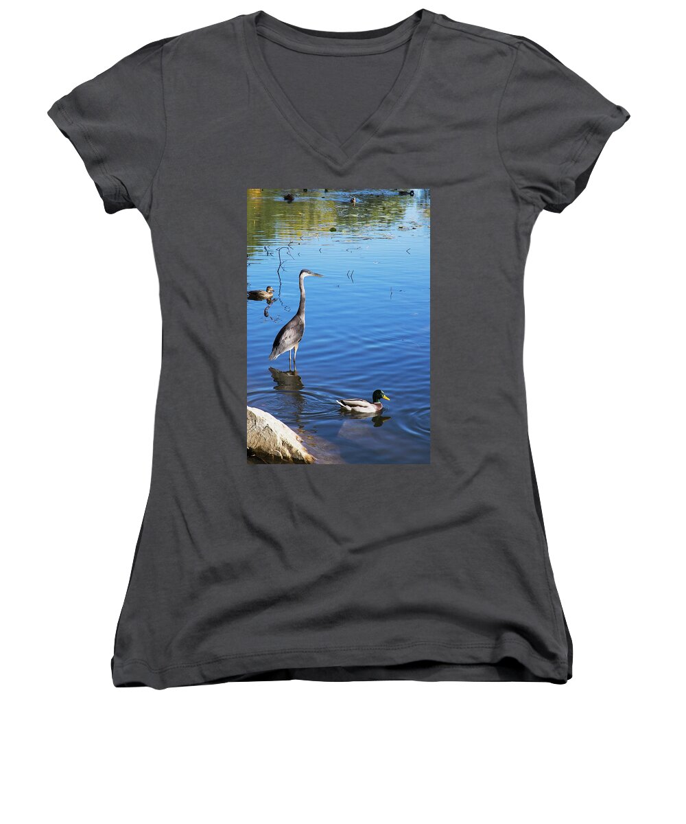 Nicola Nobile Women's V-Neck featuring the photograph Watching Over My Realm by Nicola Nobile