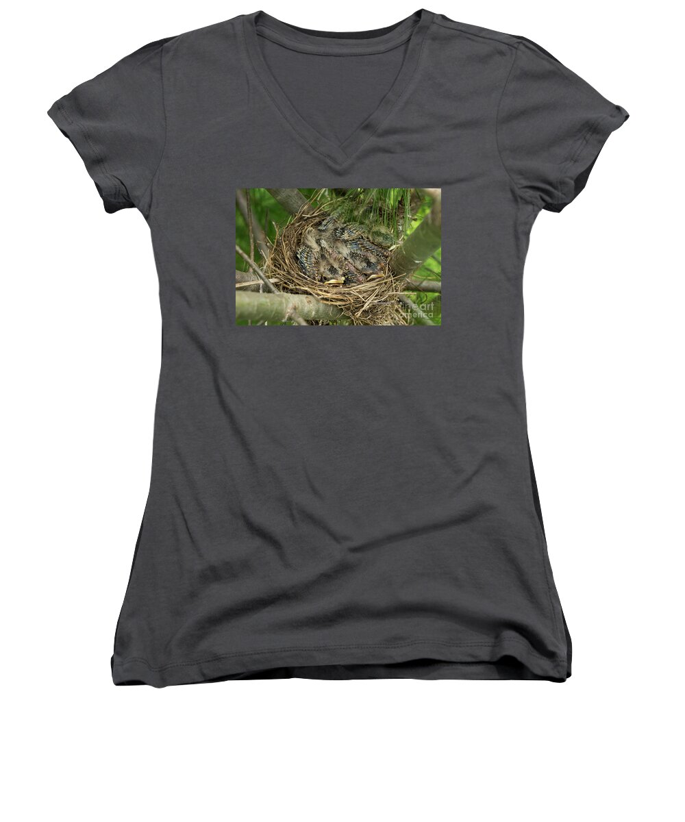 Baby Women's V-Neck featuring the photograph Week Old Robbins III by Alana Ranney