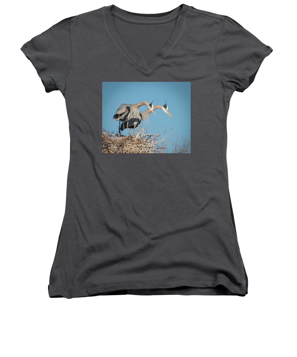 Great Blue Women's V-Neck featuring the photograph What are you lookin' at? by Judi Dressler