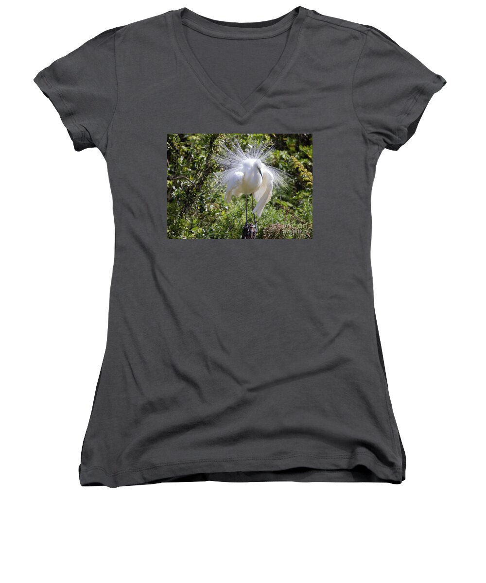 White Heron Women's V-Neck featuring the photograph White Heron by Eva Lechner
