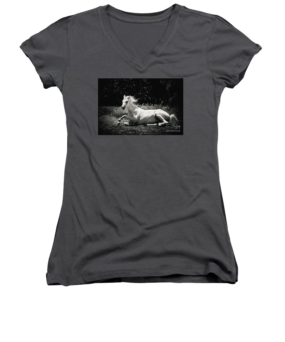 Horse Women's V-Neck featuring the photograph White Horse Laying Down by Dimitar Hristov