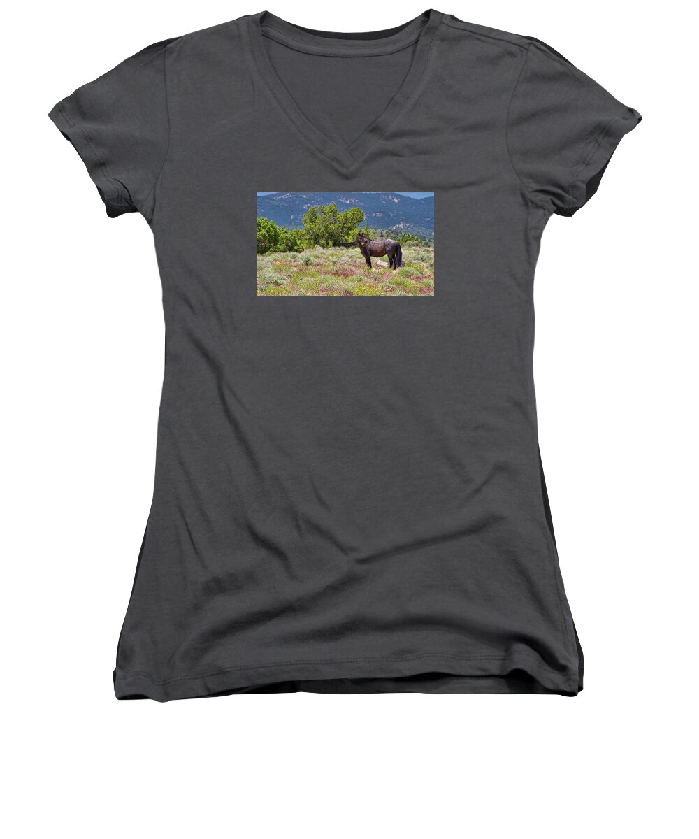 Horse Women's V-Neck featuring the photograph Wild red roan stallion by Waterdancer