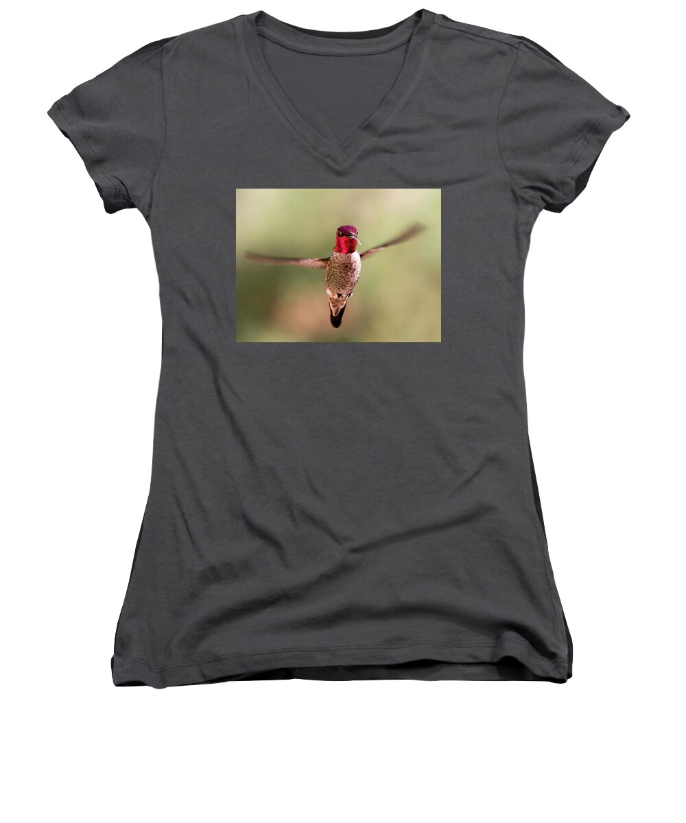 Hummingbirds Women's V-Neck featuring the photograph You Look Like Nectar To Me by Joe Schofield