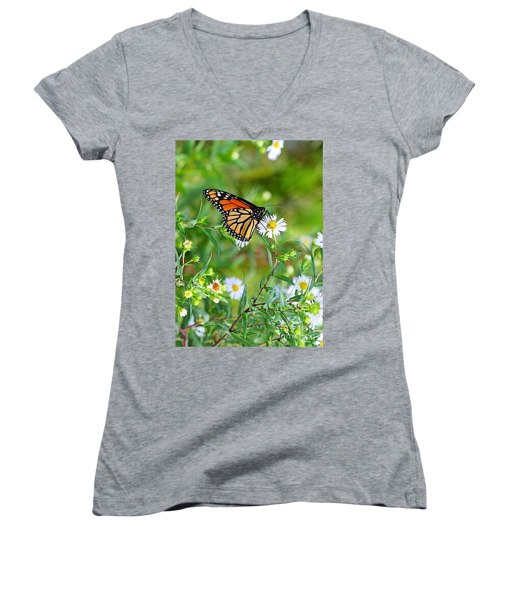 Butterfly Women's V-Neck featuring the photograph Gods Creation-17 #1 by Robert Pearson