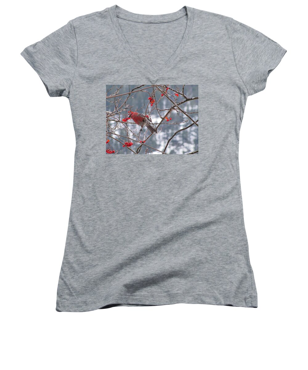 Pine Women's V-Neck featuring the photograph Pine Grosbeak and Mountain Ash #1 by Leone Lund