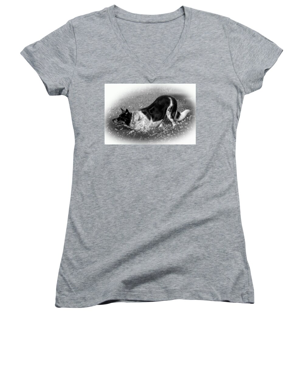 Black And White Photography Women's V-Neck featuring the photograph Playful #1 by Michael Porchik