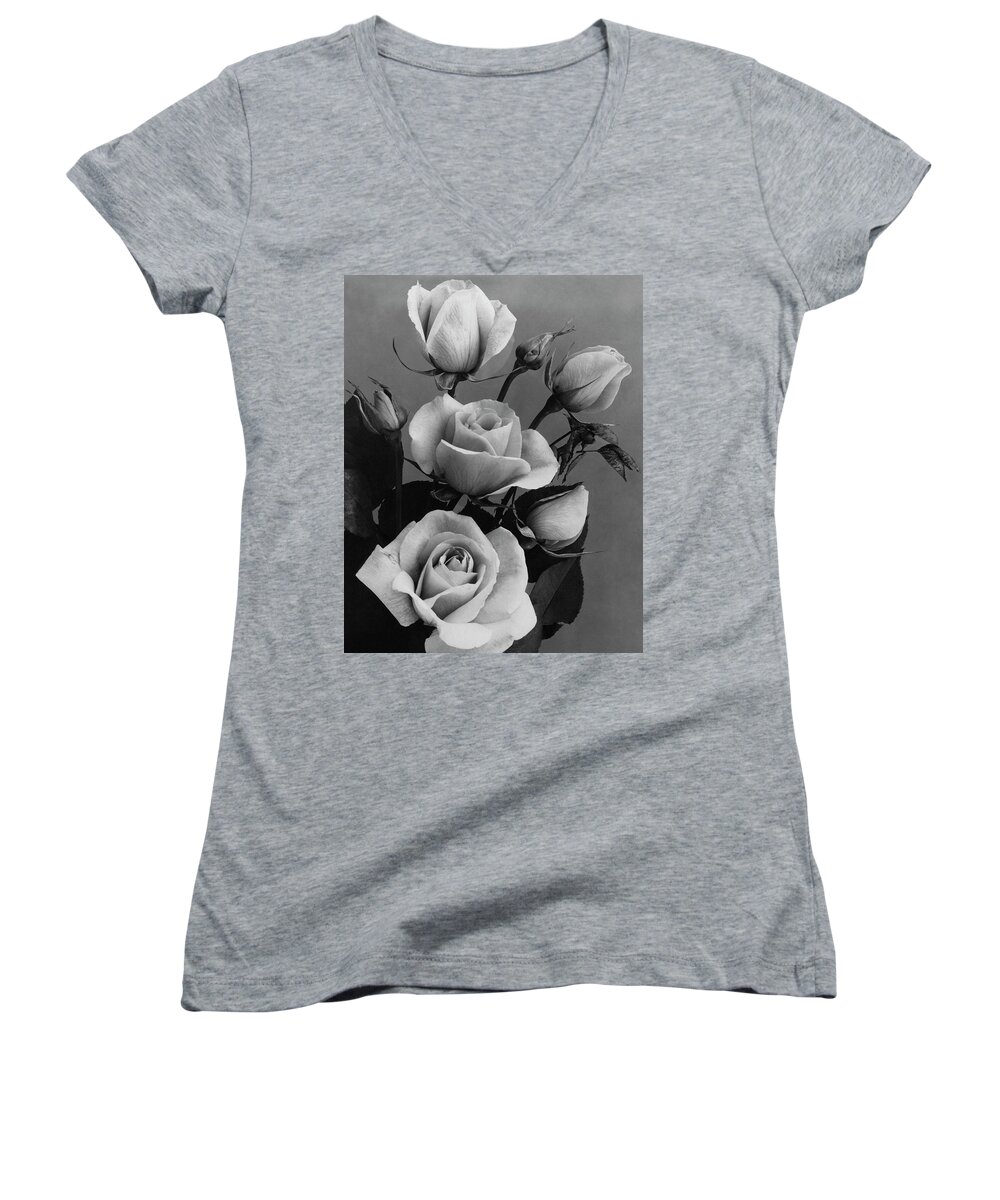 Flowers Women's V-Neck featuring the photograph Roses by J. Horace McFarland
