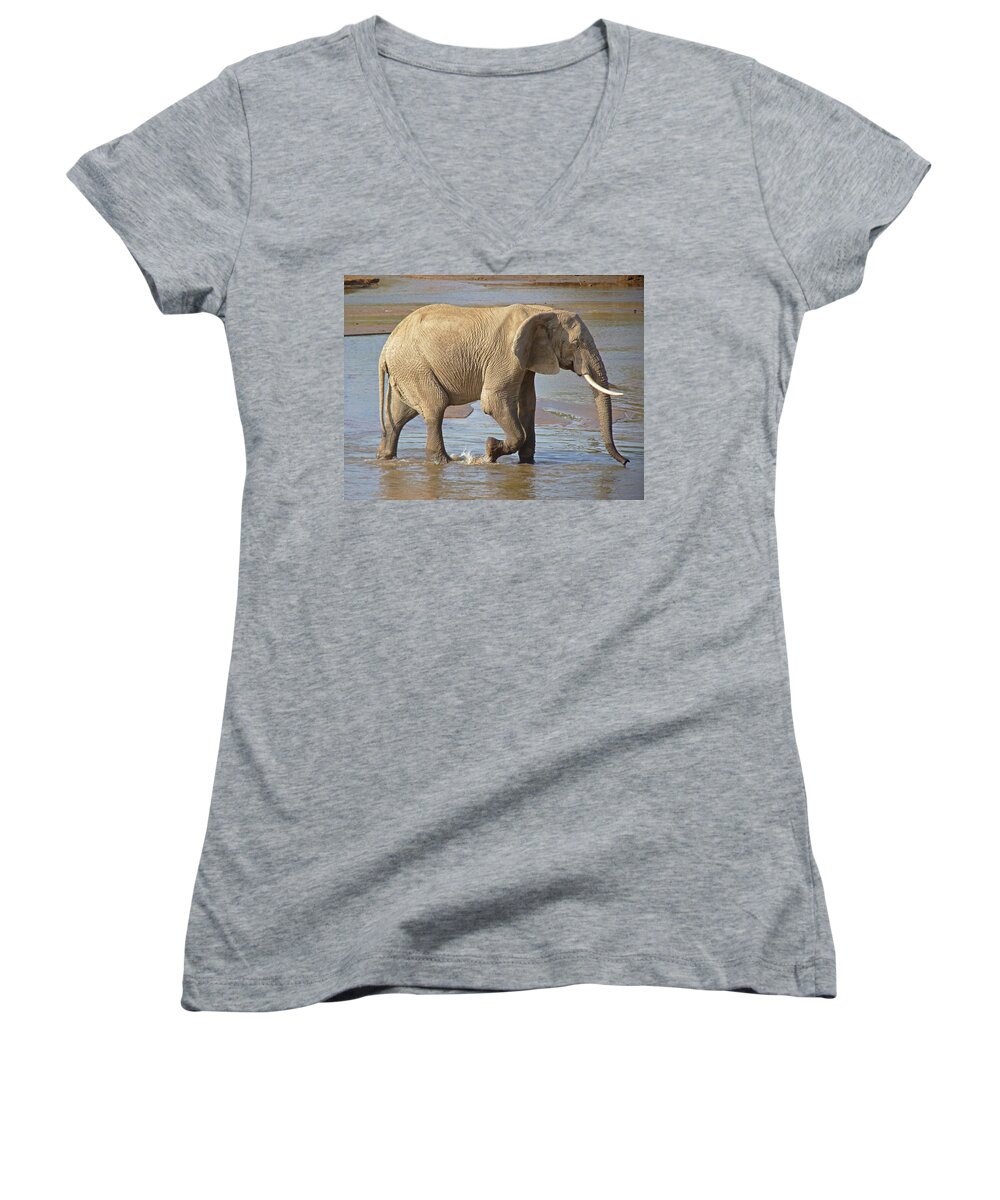 Elephant Women's V-Neck featuring the photograph African elephant #2 by Tony Murtagh