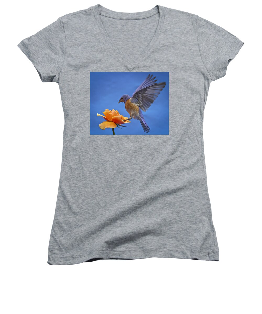 Animals Women's V-Neck featuring the photograph Balancing Act #2 by Jean Noren