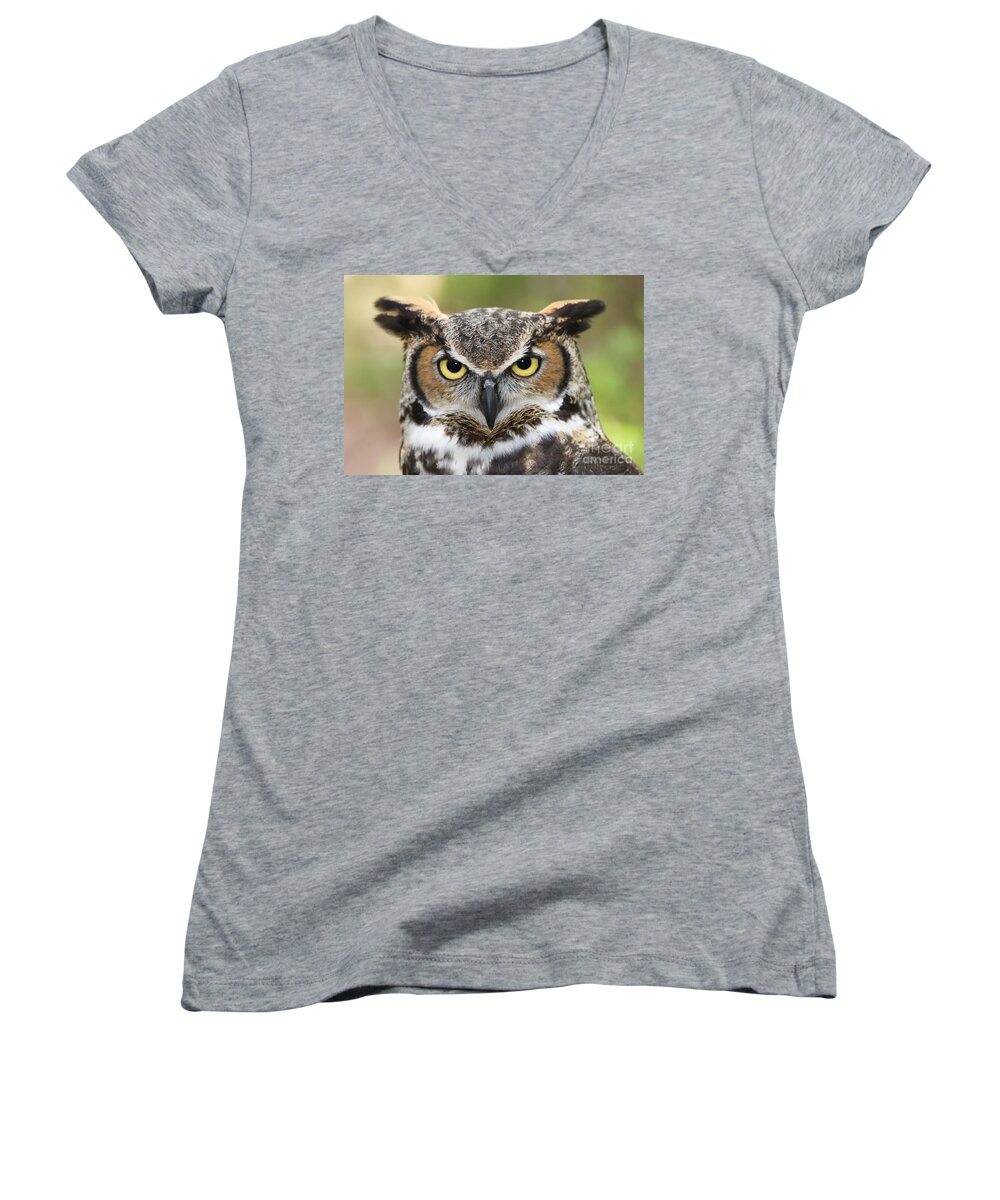 Great Horned Owls Women's V-Neck featuring the photograph Great Horned Owl #4 by Jill Lang