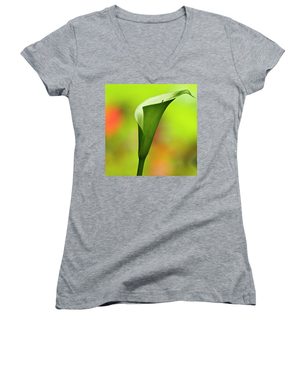 Calla Women's V-Neck featuring the photograph Green Calla Lily by Heiko Koehrer-Wagner