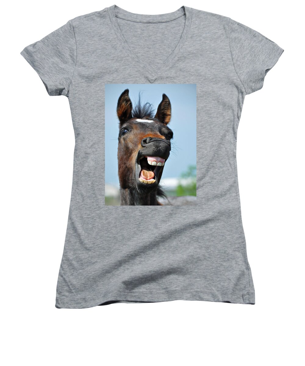 Equine Women's V-Neck featuring the photograph Horse #3 by Savannah Gibbs