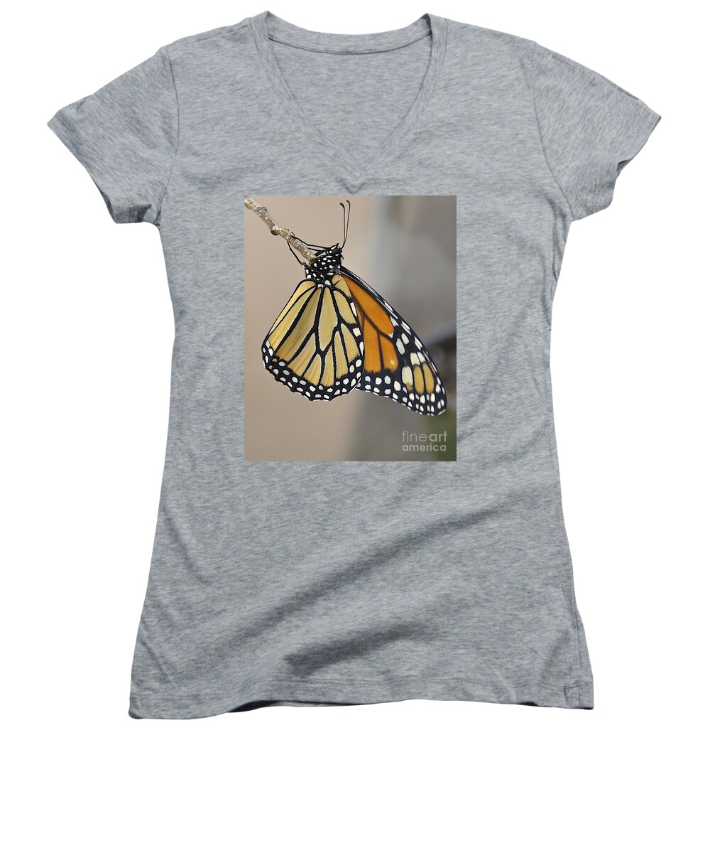 Butterfly Women's V-Neck featuring the photograph #6 Has Left the Building #6 by Carol Bradley