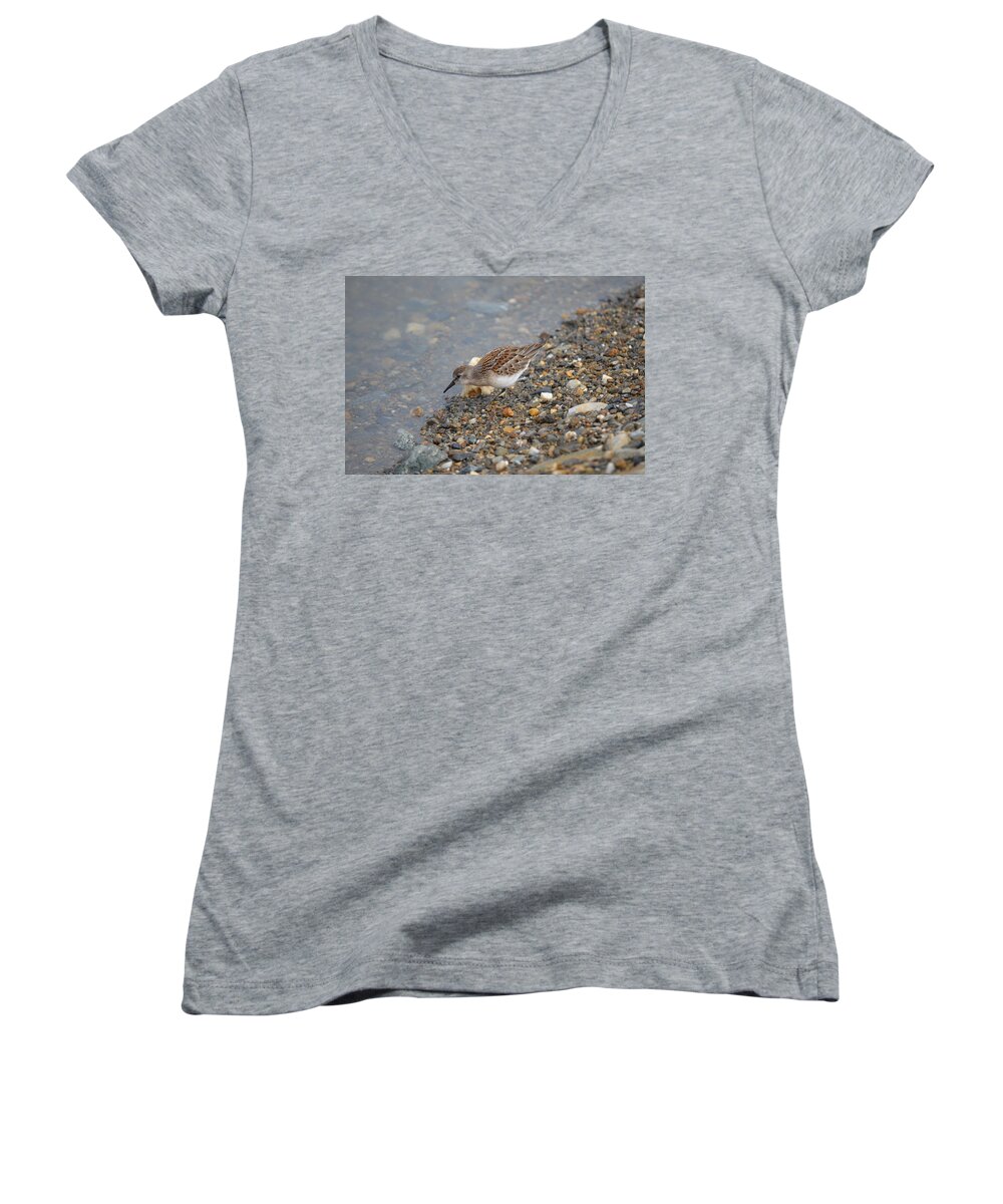 Birds Women's V-Neck featuring the photograph Semipalmated Sandpiper #3 by James Petersen