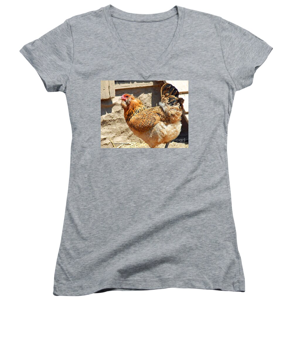 Farm Animals Women's V-Neck featuring the photograph A day at the farm by Cindy Manero