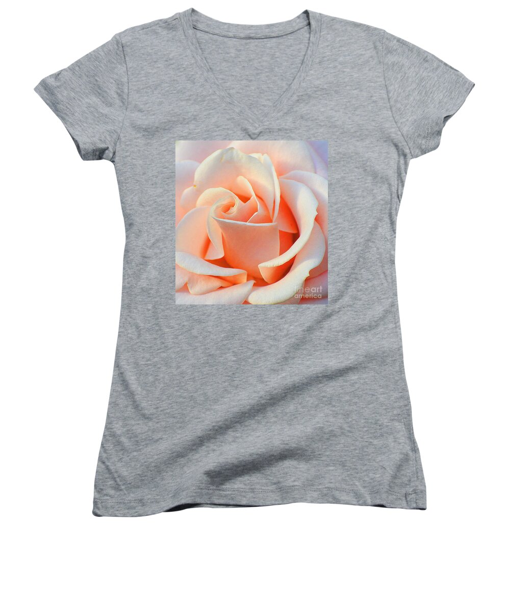 Rose Women's V-Neck featuring the photograph A Delicate Rose by Cindy Manero