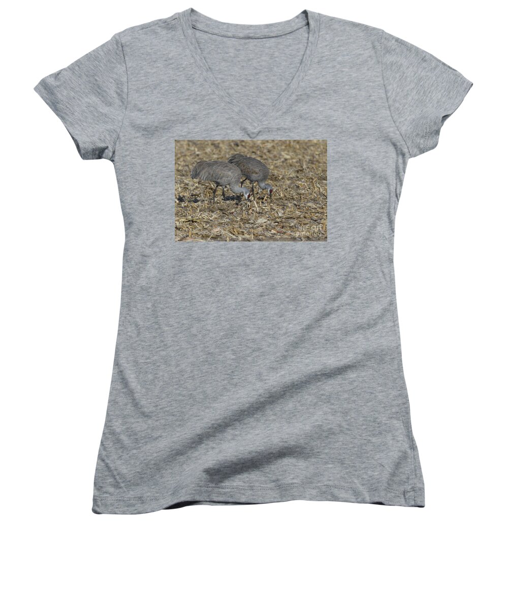 Feeding Women's V-Neck featuring the photograph A Pair Of Sandhill Cranes by Steve Triplett