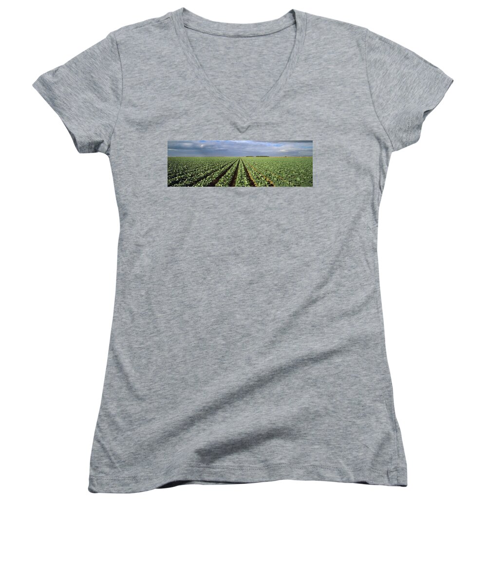 Agriculture Women's V-Neck featuring the photograph Agriculture - A Field Of Mid Growth by Timothy Hearsum