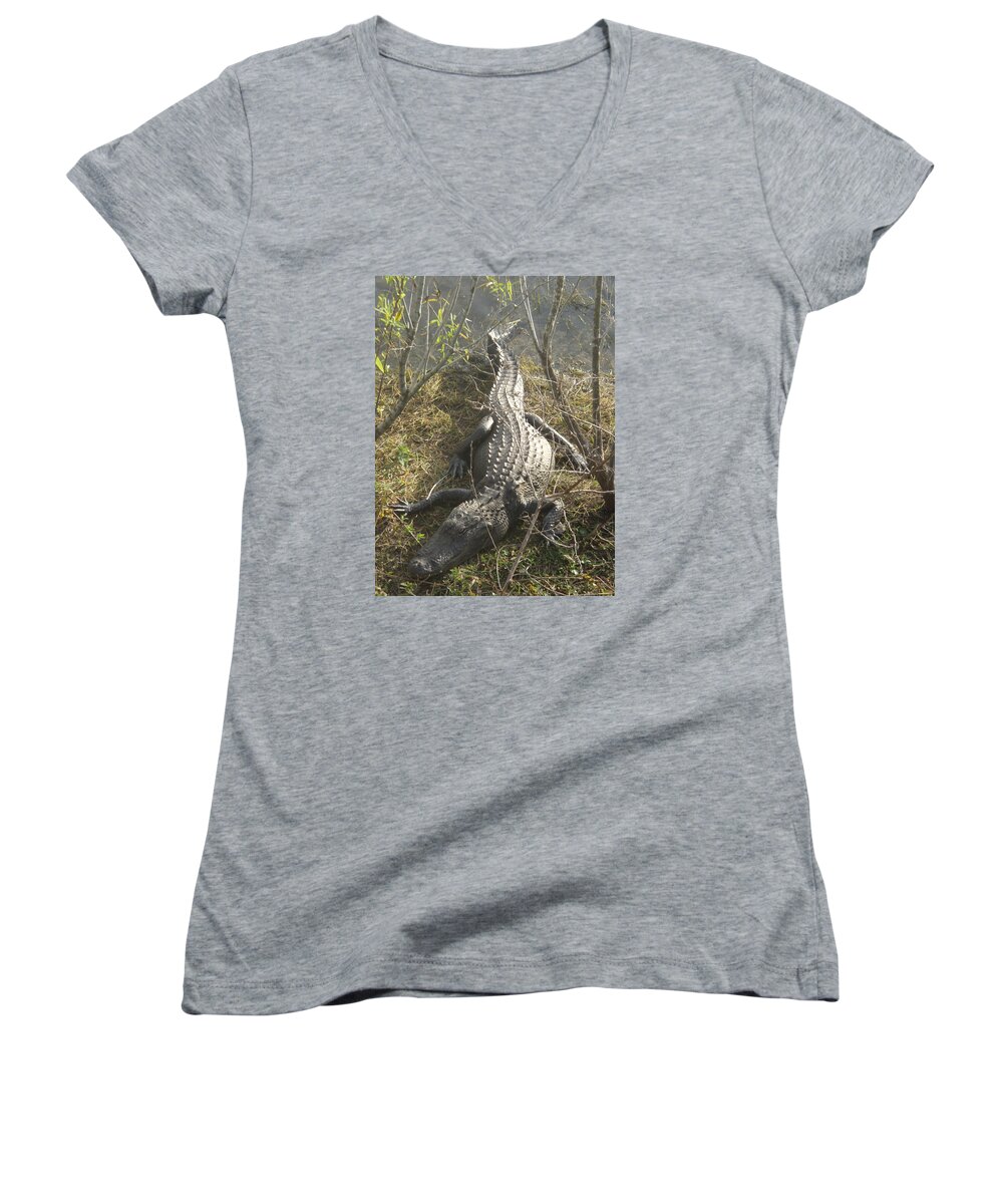 Alligator Women's V-Neck featuring the photograph Alligator by Robert Nickologianis