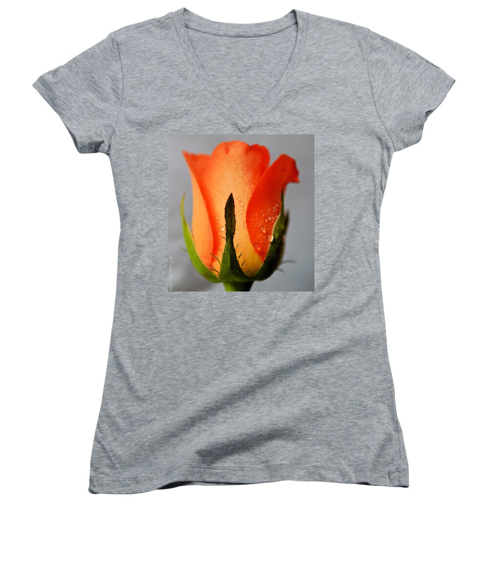 Rose Women's V-Neck featuring the photograph Allure by Felicia Tica