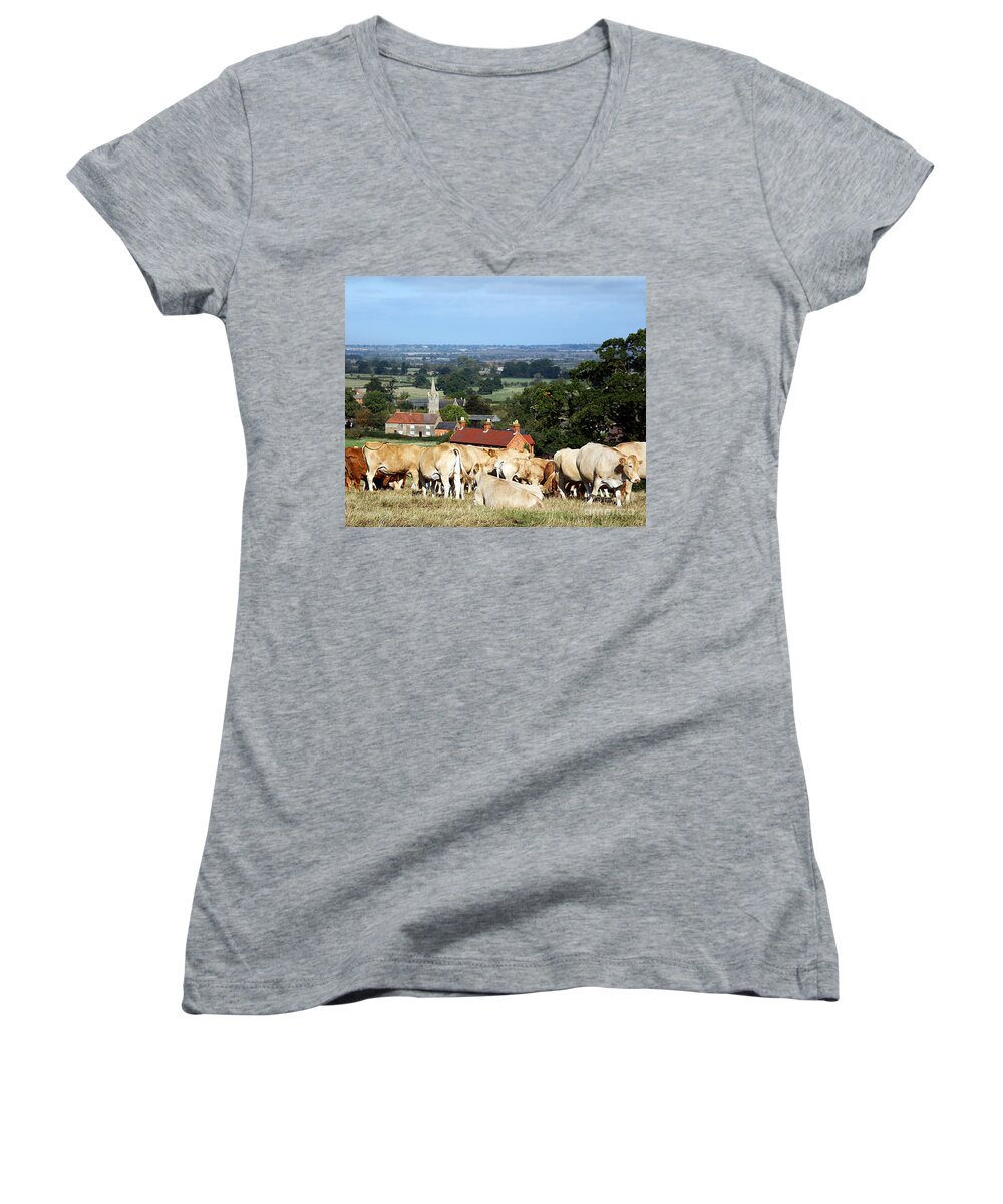 Cows Women's V-Neck featuring the photograph An English Summer Landscape by Linsey Williams