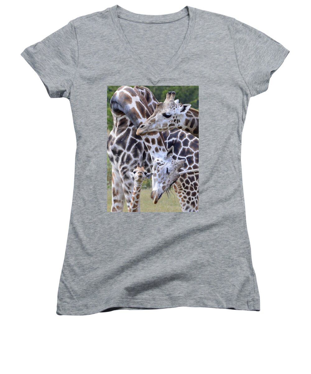 Giraffe Women's V-Neck featuring the photograph And Baby Makes Three by Lori Tambakis