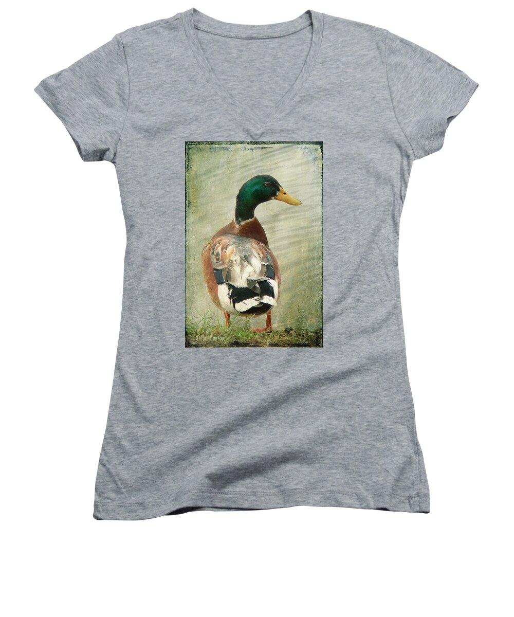 Duck Women's V-Neck featuring the photograph Another duck ... by Chris Armytage
