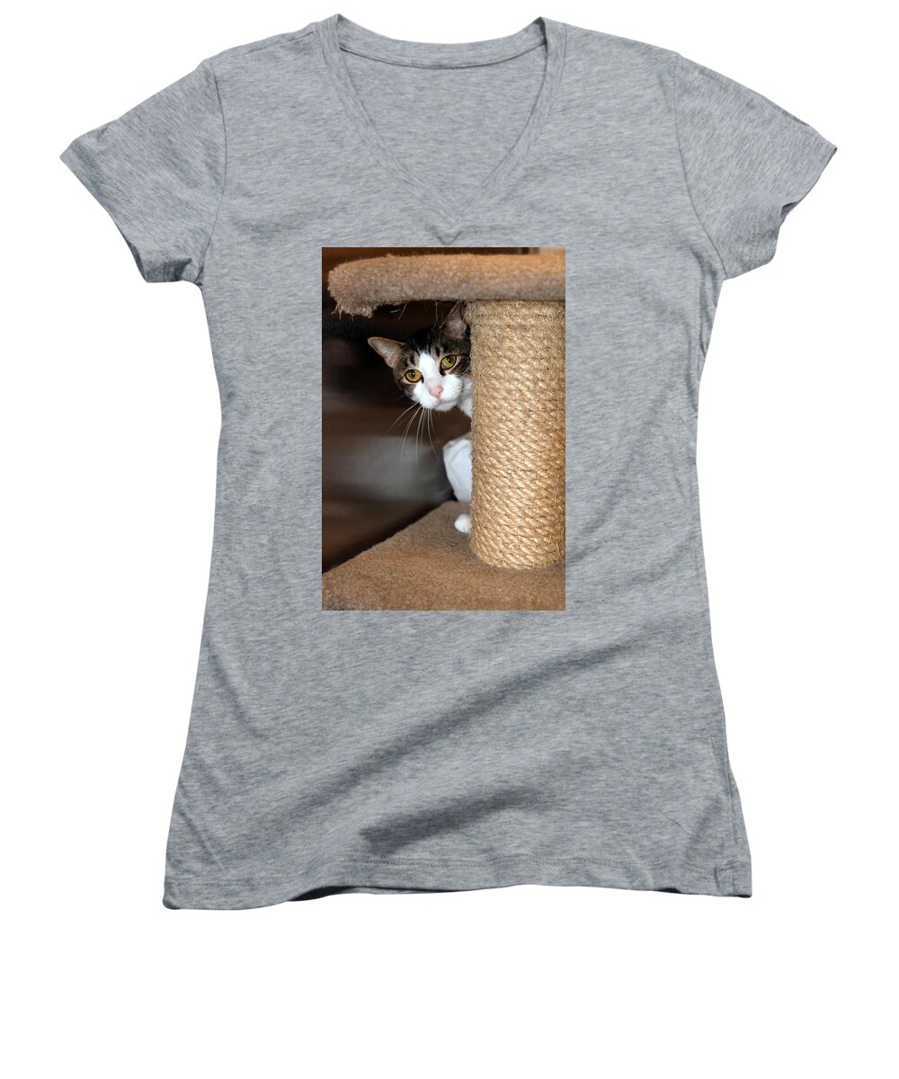 Cats Women's V-Neck featuring the photograph Ari by John Greco