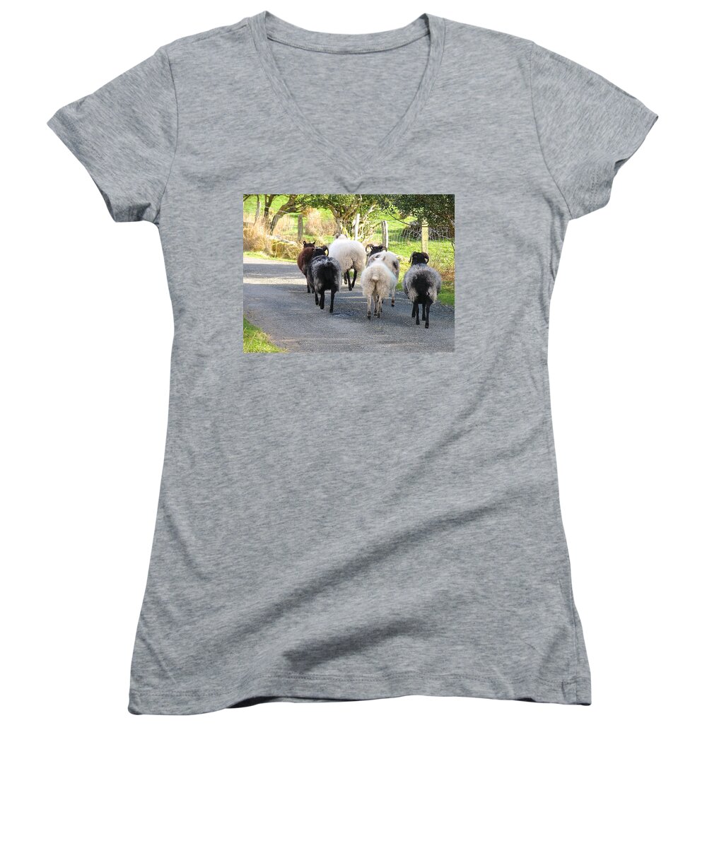 Irish Sheep Women's V-Neck featuring the photograph Ba Ba Blacksheep by Suzanne Oesterling