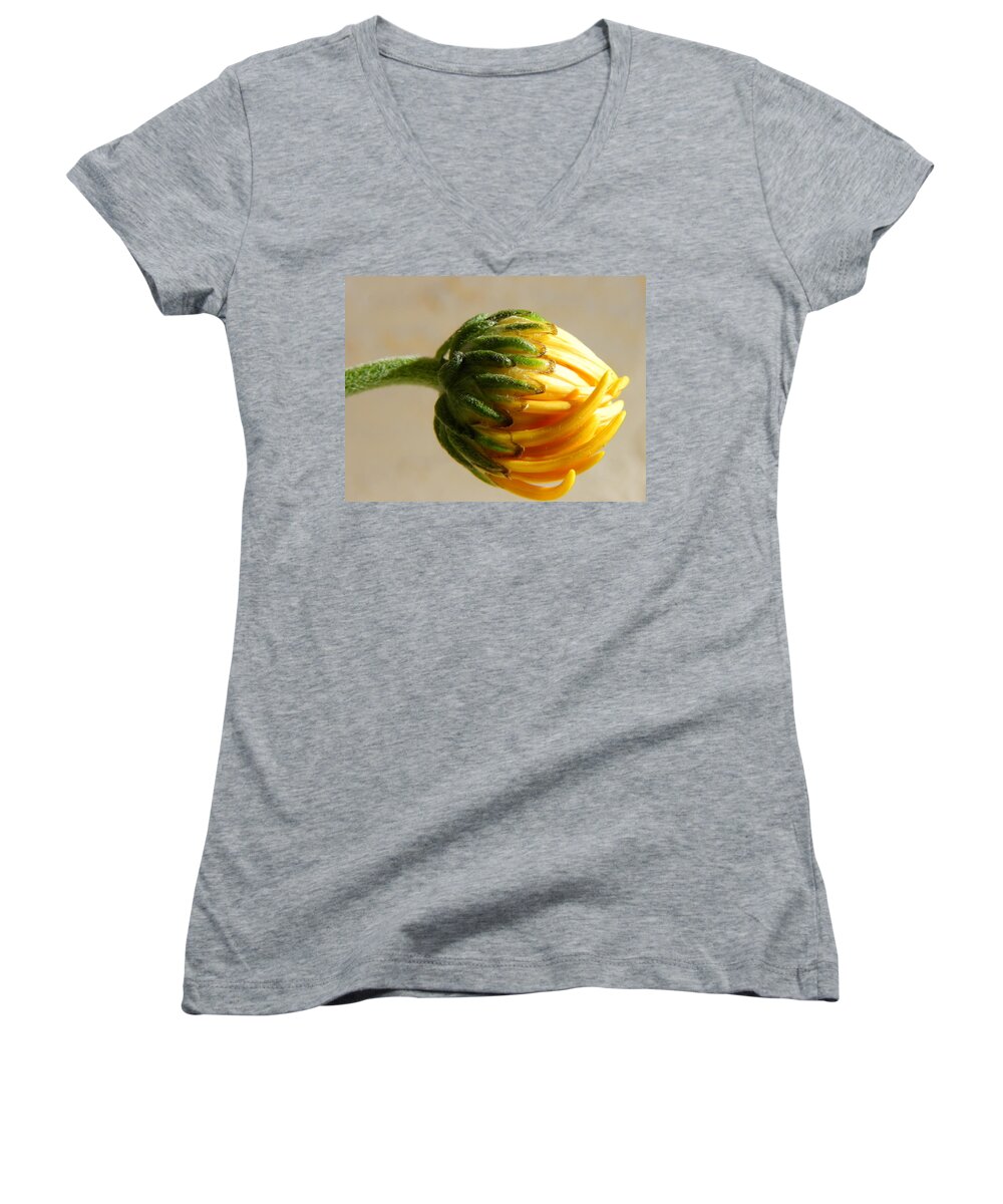 Flower Women's V-Neck featuring the photograph Baby Spider Mum by Deb Halloran