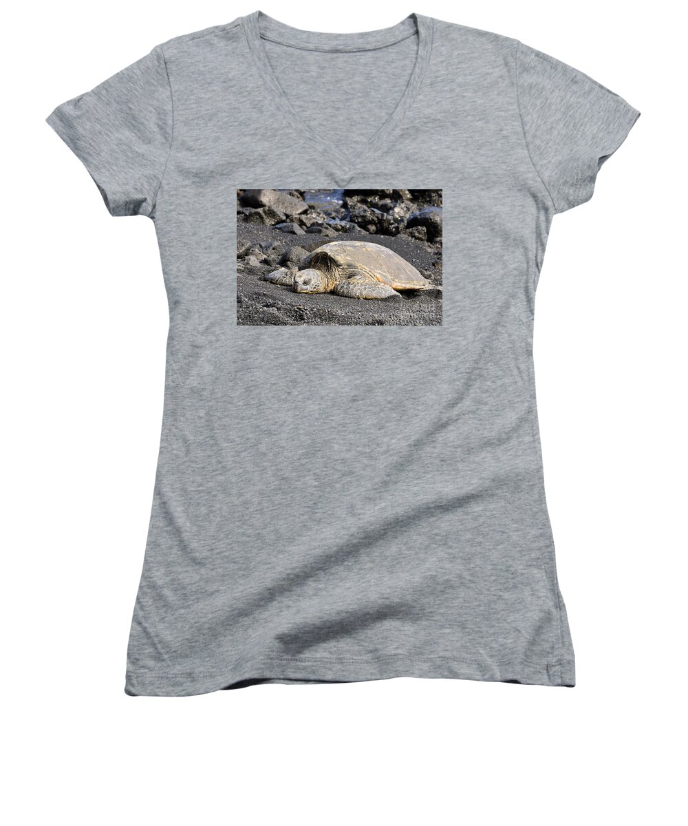  Turtle Women's V-Neck featuring the photograph Basking in the Sun by David Lawson
