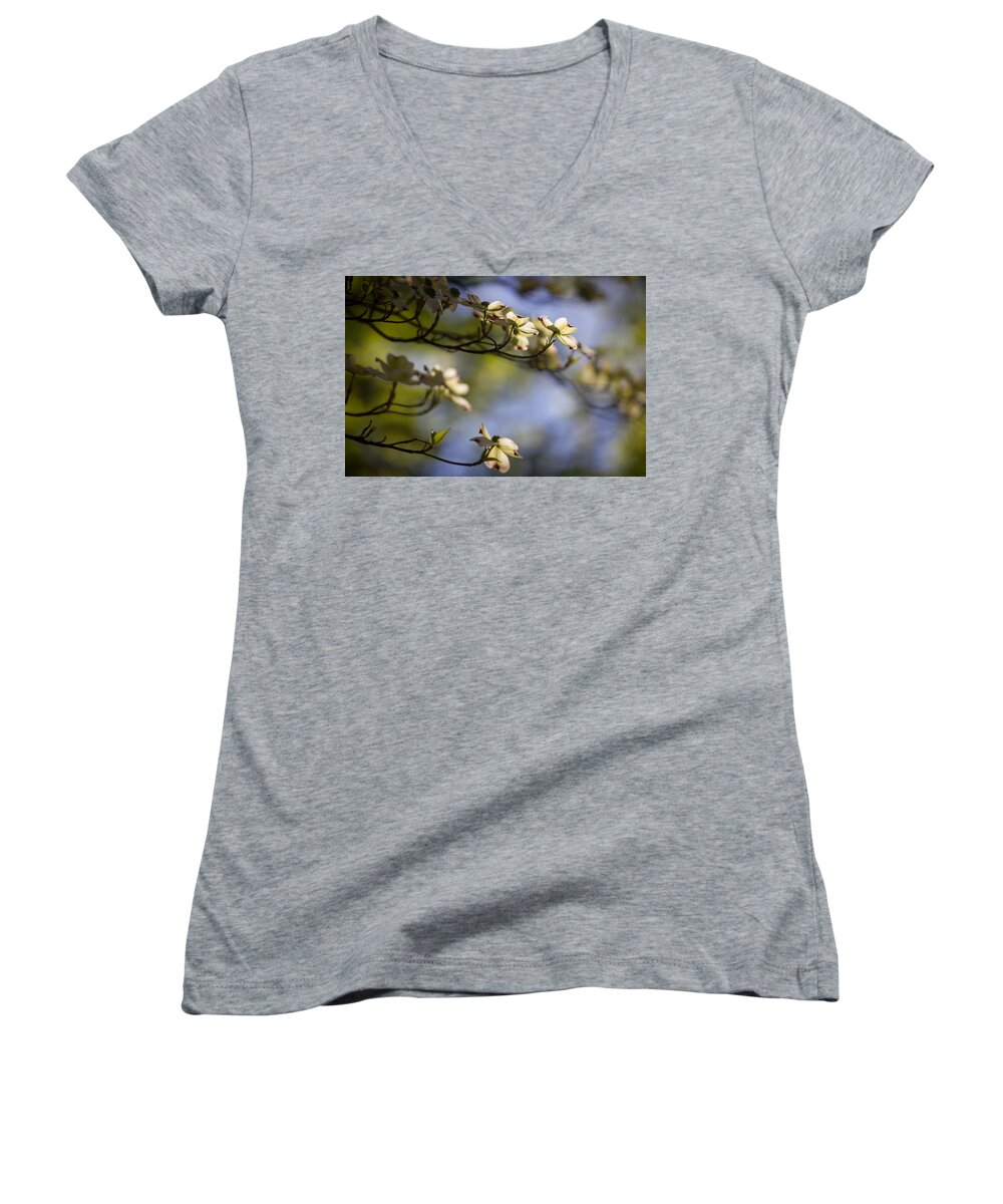 Floral Women's V-Neck featuring the photograph Beauty Within by Sara Frank