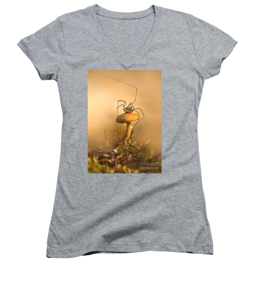 Spider Women's V-Neck featuring the photograph Big rest by Jaroslaw Blaminsky