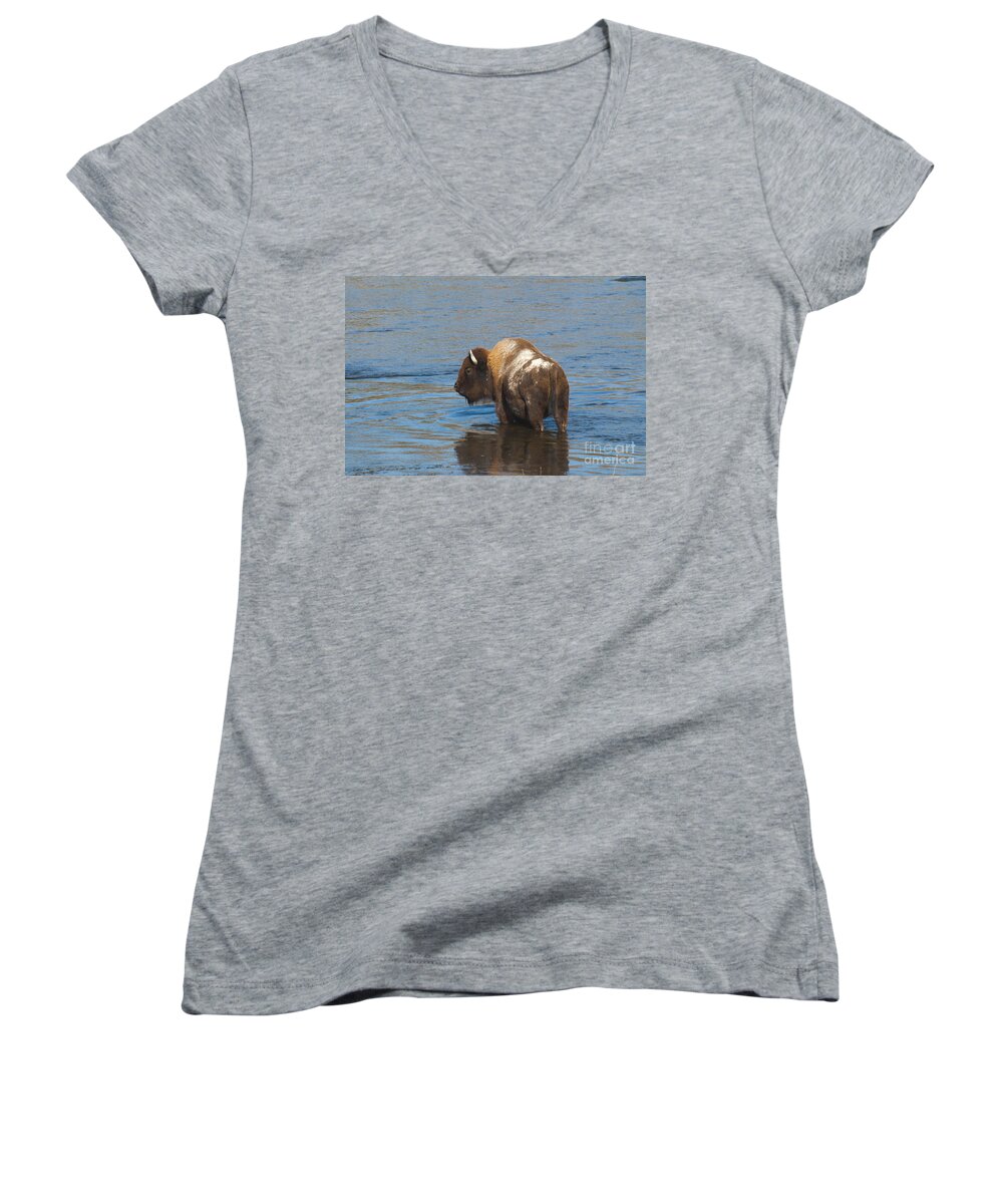 Bison Women's V-Neck featuring the photograph Bison Crossing River by Gary Beeler