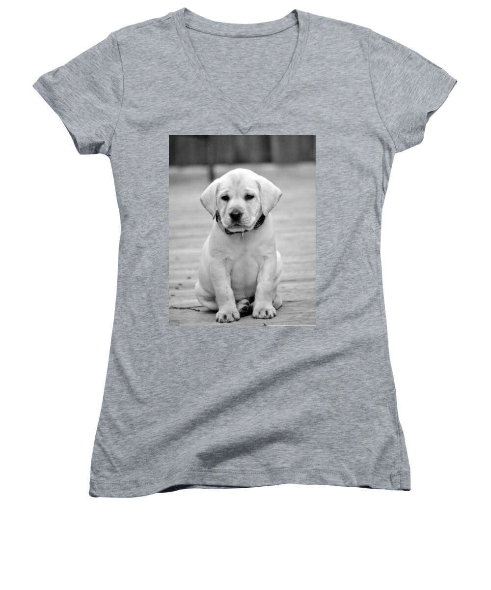 Puppy Prints Women's V-Neck featuring the photograph Black and White Puppy by Kristina Deane