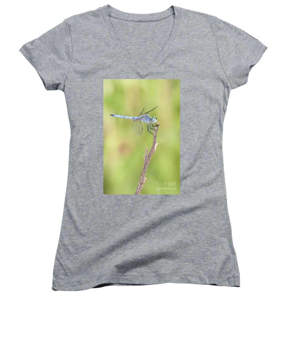 Blue Dasher Women's V-Neck featuring the photograph Blue Dasher by Bryan Keil