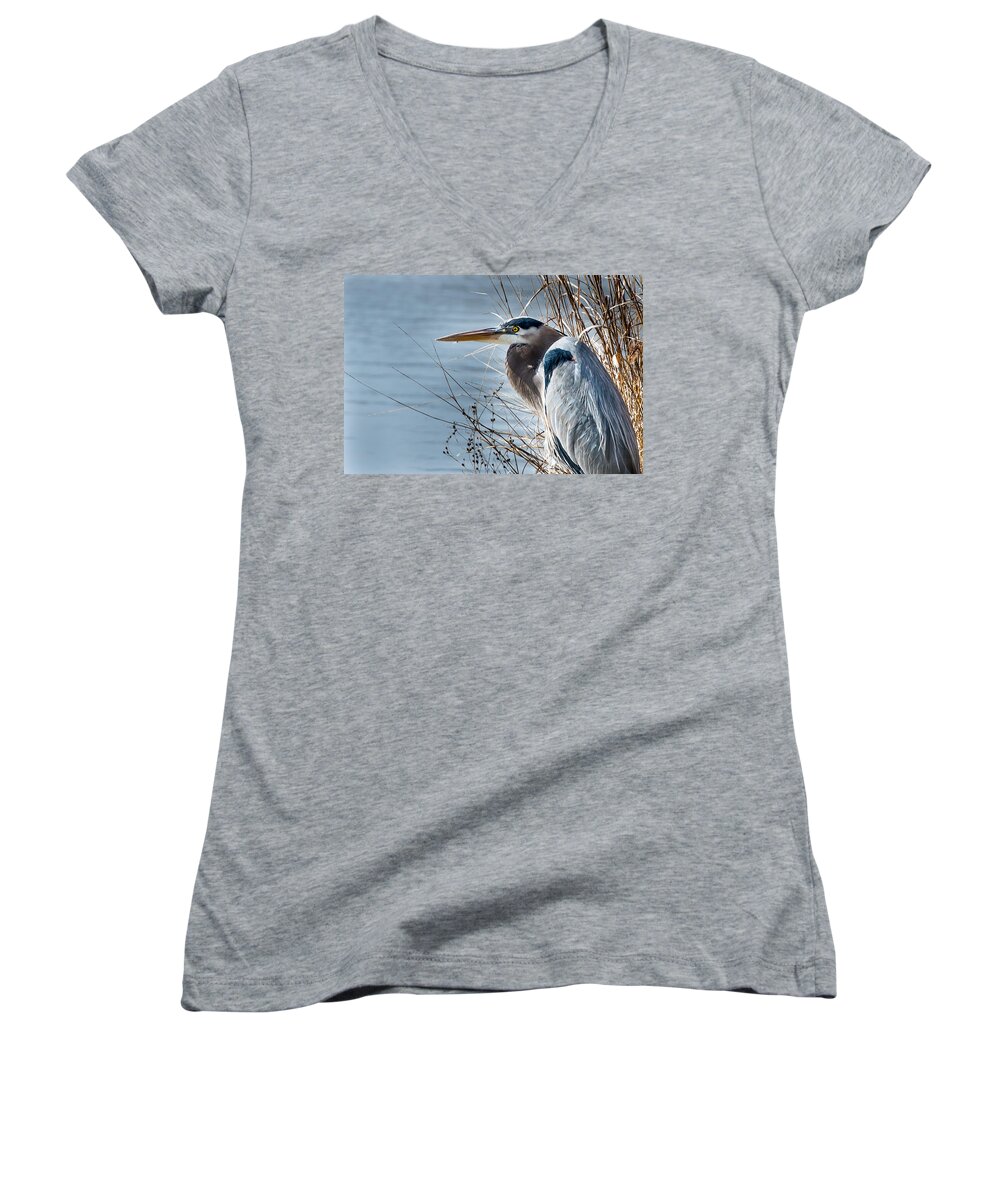 Blue Heron Women's V-Neck featuring the photograph Blue Heron at pond by John Johnson