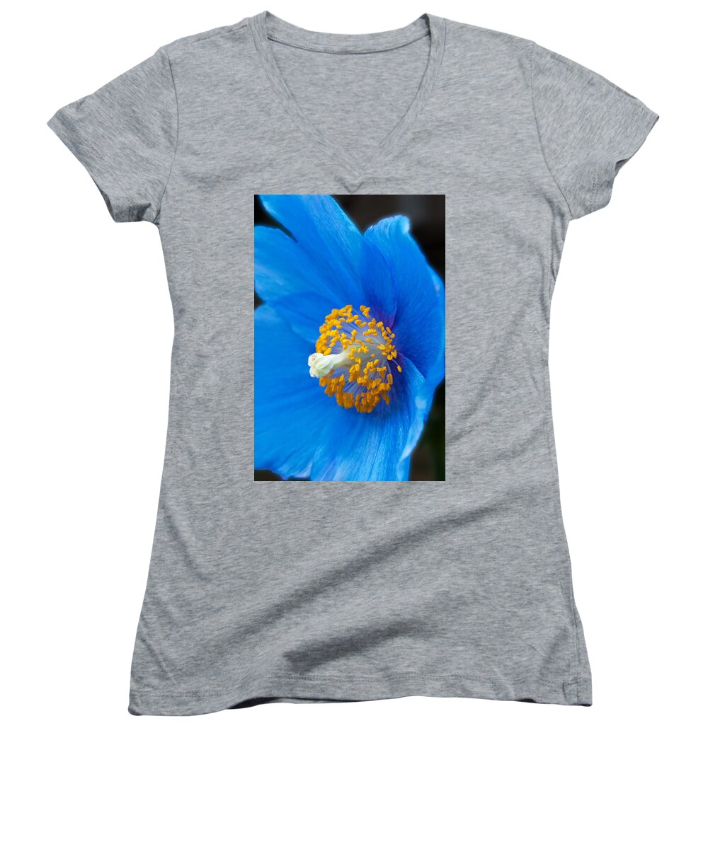 Flower Women's V-Neck featuring the photograph Blue Poppy by Michael Porchik
