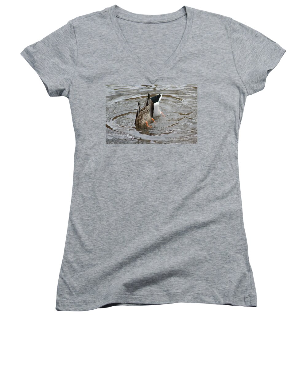 Bottoms Up Women's V-Neck featuring the photograph Bottoms Up by Cleaster Cotton