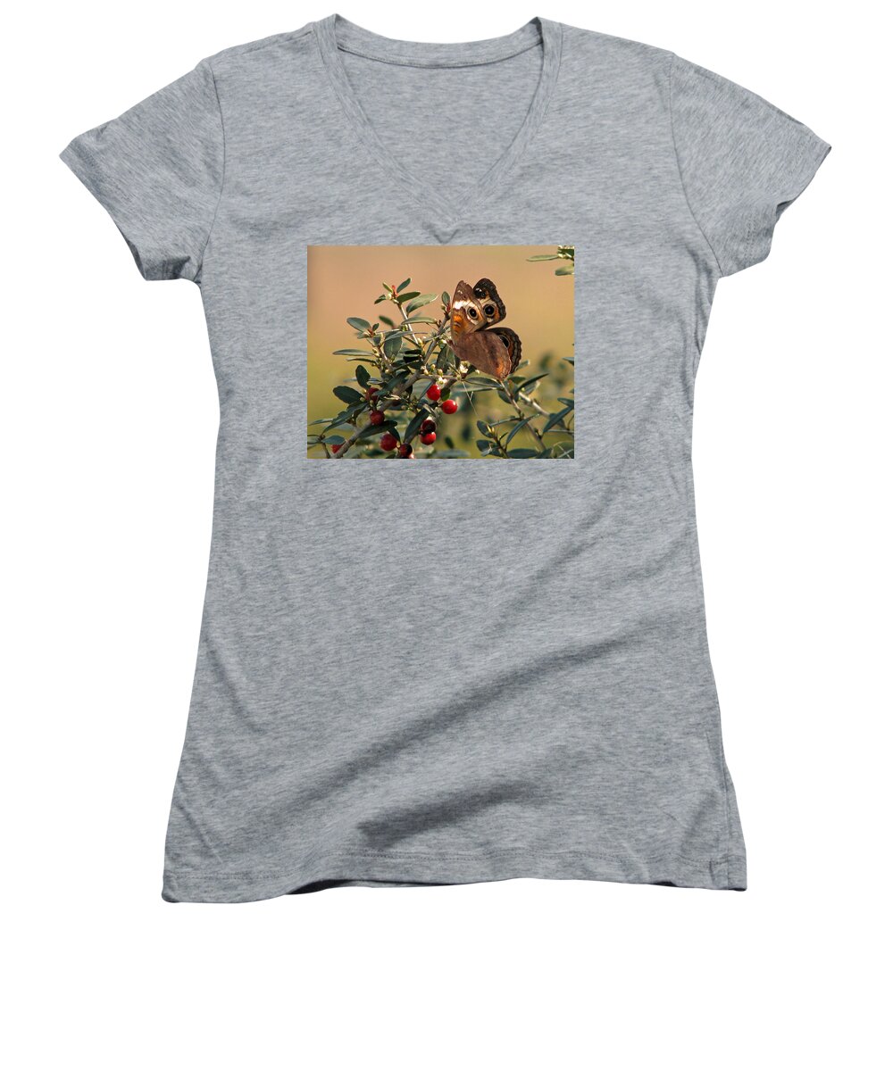 Nature Women's V-Neck featuring the photograph Buckeye Beauty by Peggy Urban