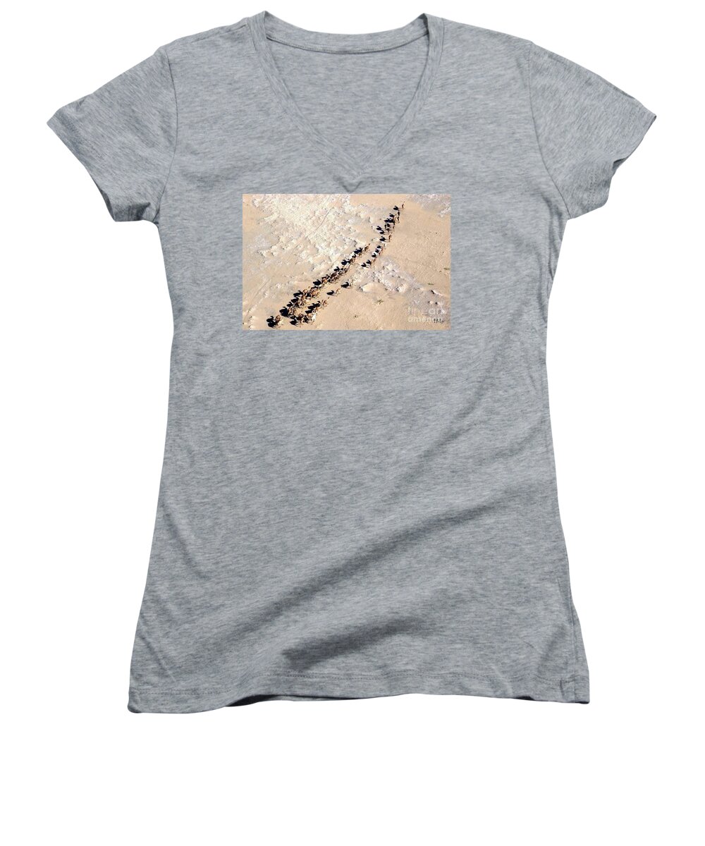 Africa Women's V-Neck featuring the photograph Camels walking in Desert by HELGE Art Gallery