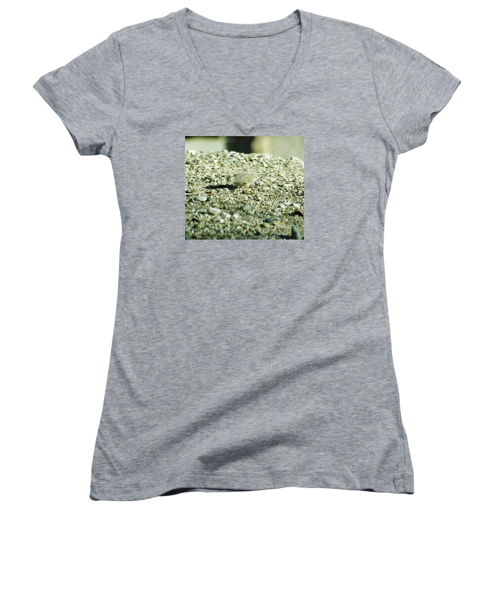 This Guy Was Outside My Kitchen Women's V-Neck featuring the photograph Arizona Camo Bird by Belinda Lee