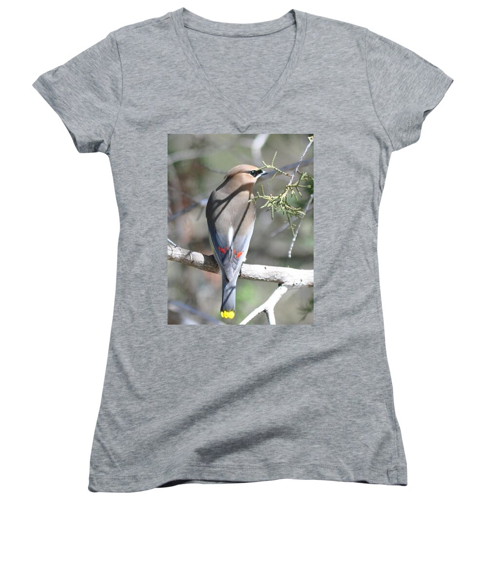 Cedar Waxwing Women's V-Neck featuring the photograph Cedar Waxwing by Frank Madia
