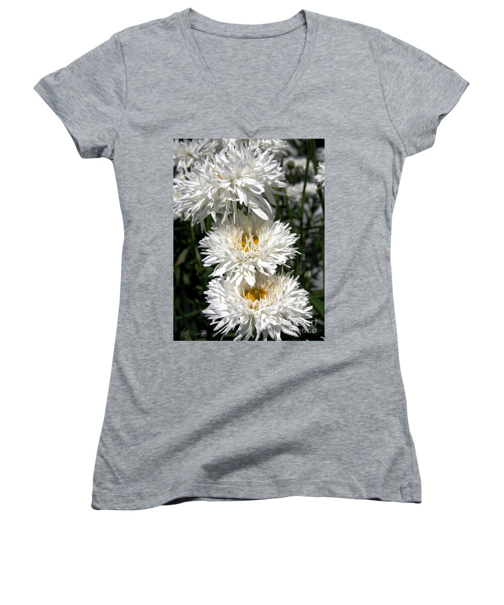 Mccombie Women's V-Neck featuring the photograph Chrysanthemum named Crazy Daisy by J McCombie