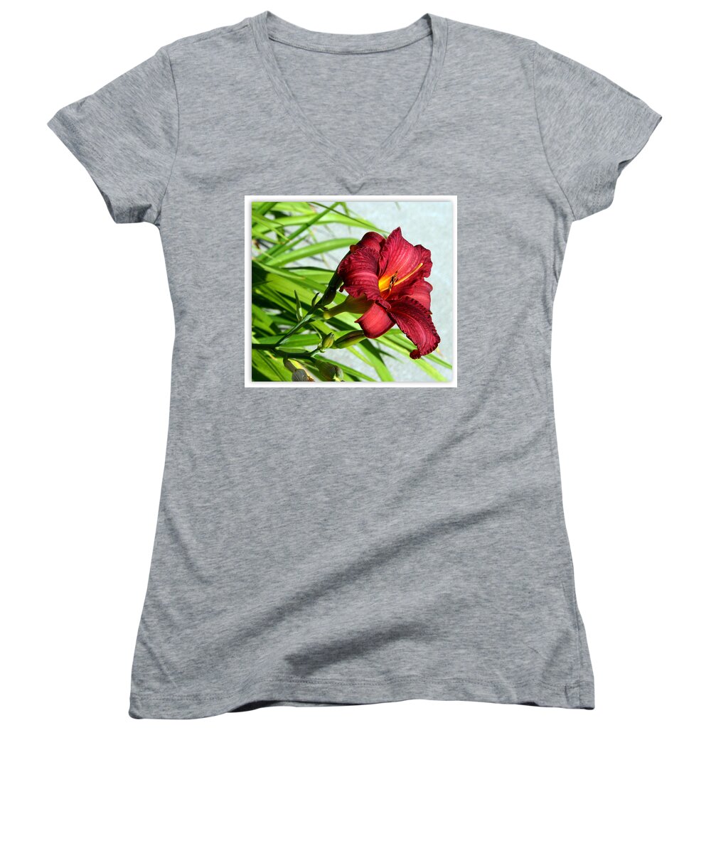 Cranberry Women's V-Neck featuring the photograph Cranberry Colored Lily by Kay Novy