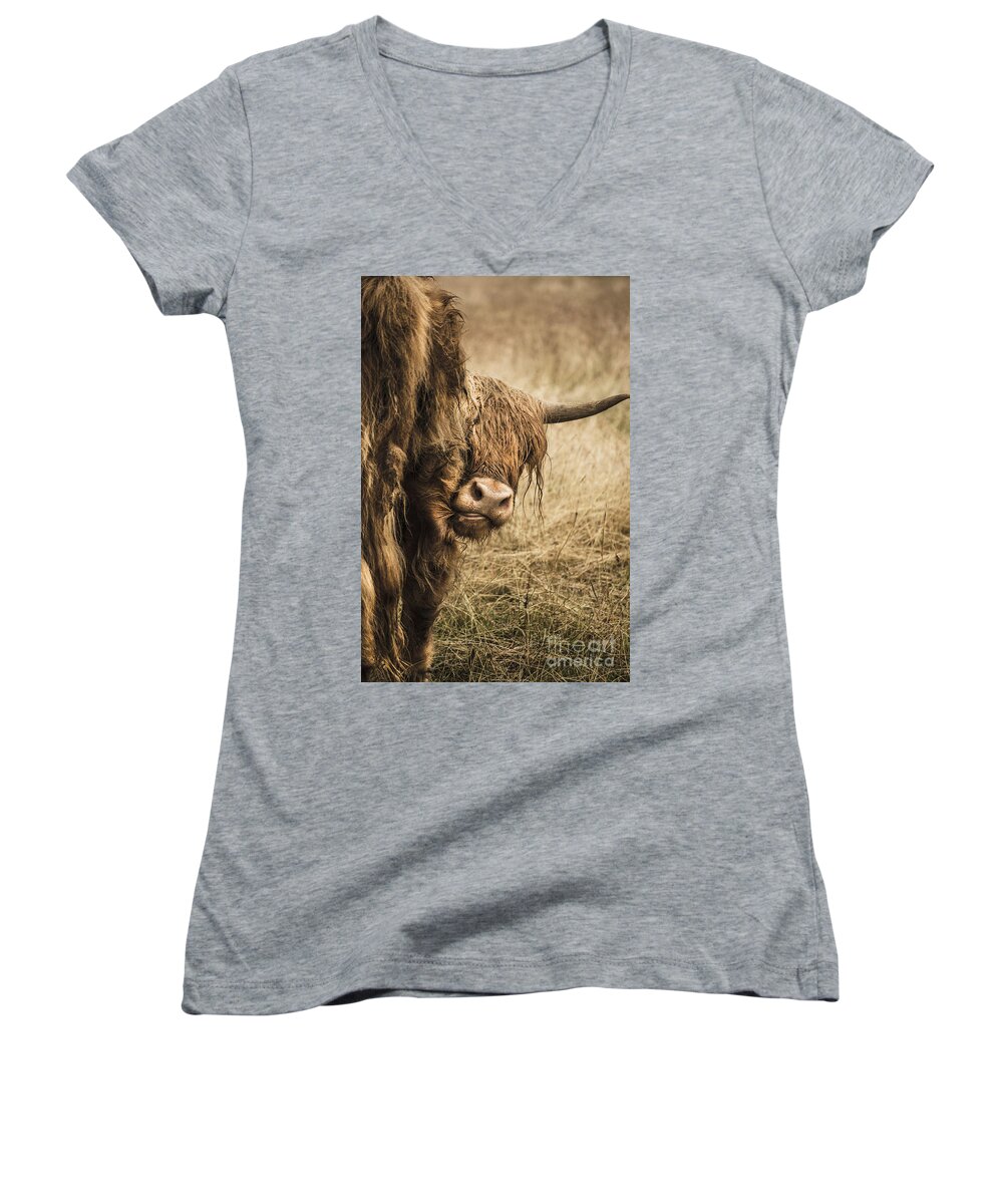 Cow Women's V-Neck featuring the photograph Highland Cow Damn Fleas by Linsey Williams