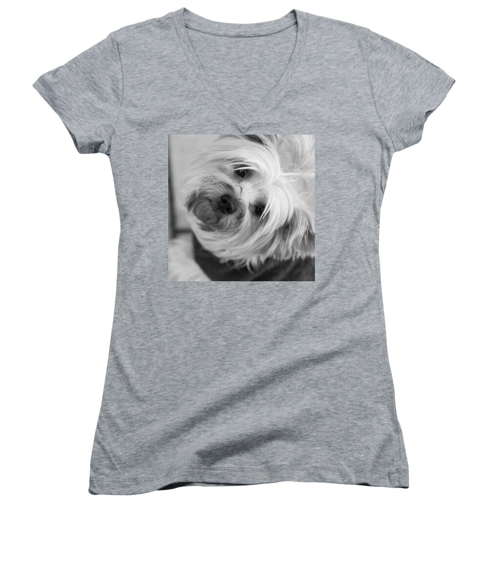 Dog Women's V-Neck featuring the photograph December Walk by Miguel Winterpacht