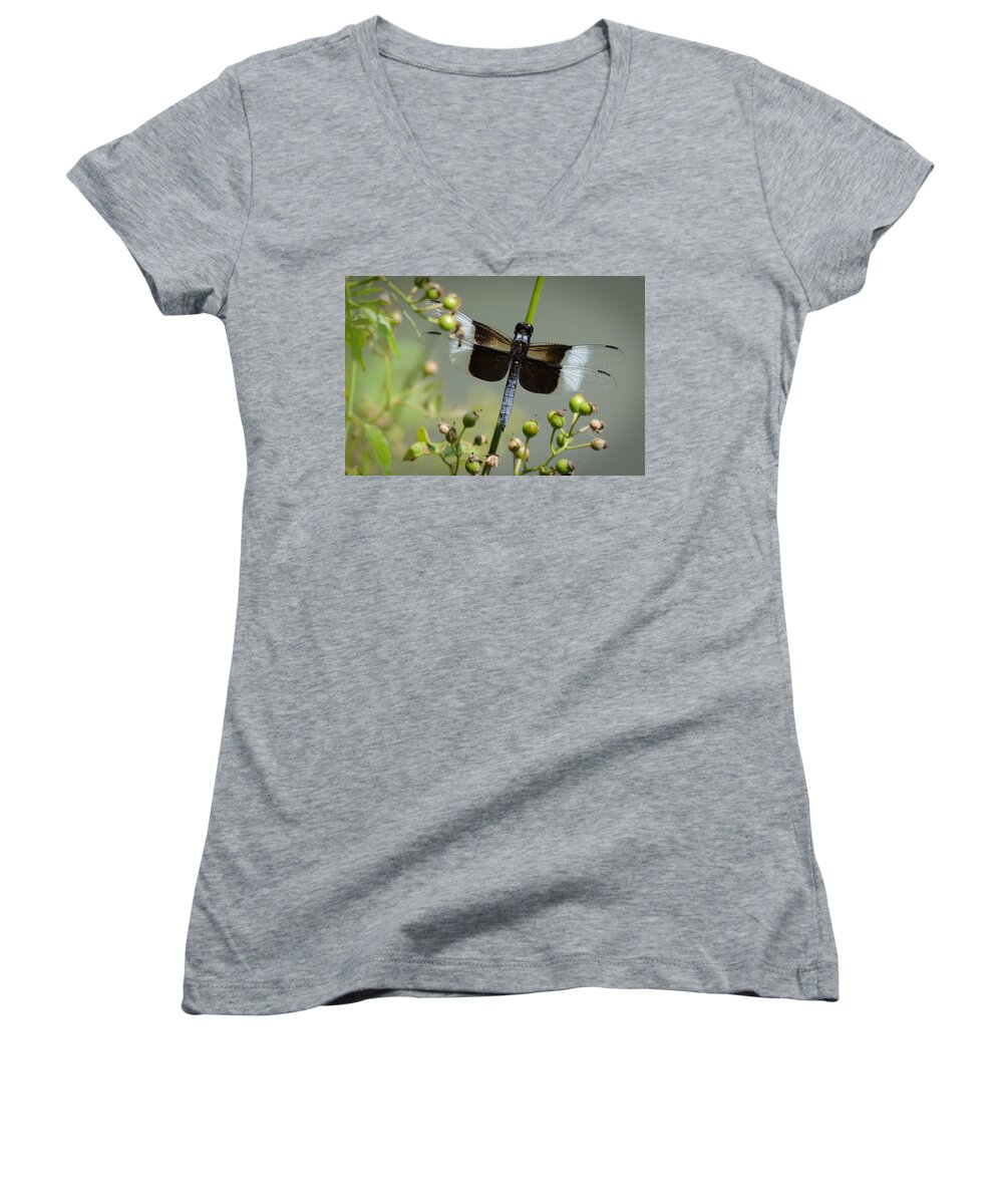 Dragonfly Women's V-Neck featuring the photograph Dragonfly by David Hart