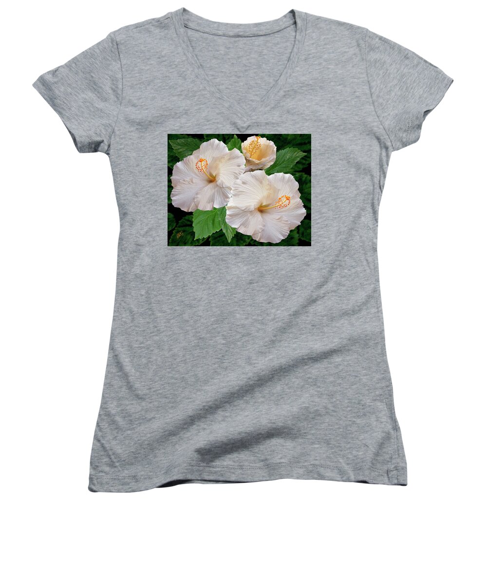 Tropical Flower Women's V-Neck featuring the photograph Dreamy Blooms - White Hibiscus by Ben and Raisa Gertsberg