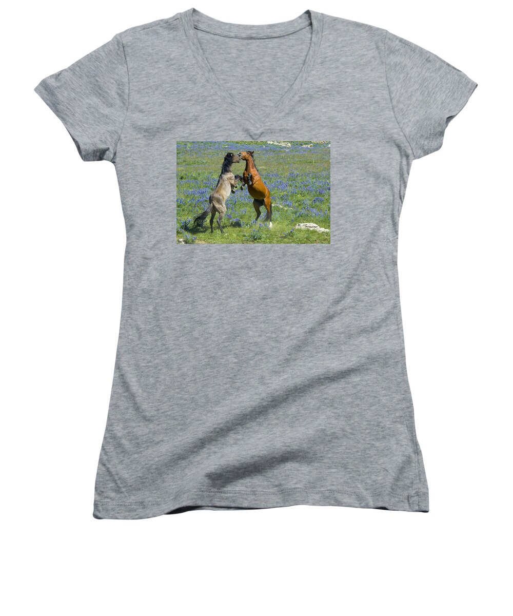 Mustangs Women's V-Neck featuring the photograph Dueling Mustangs by Gary Beeler